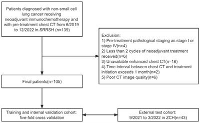 Radiomics model based on intratumoral and peritumoral features for predicting major pathological response in non-small cell lung cancer receiving neoadjuvant immunochemotherapy